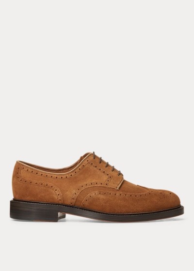 Tenis Polo Ralph Lauren Hombre Marrom - Brenton Suede Wingtip - PJKIF2905